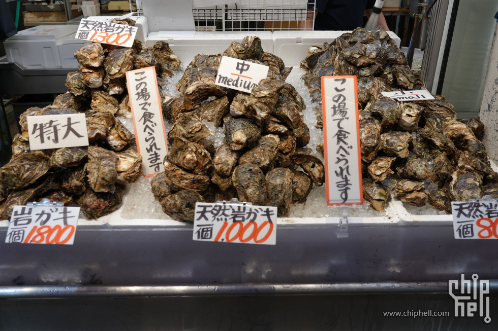 DSC00420-min.JPG