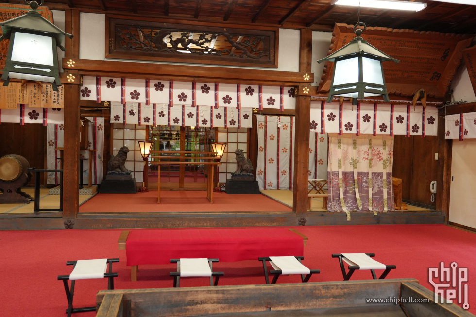 DSC00726-min.JPG