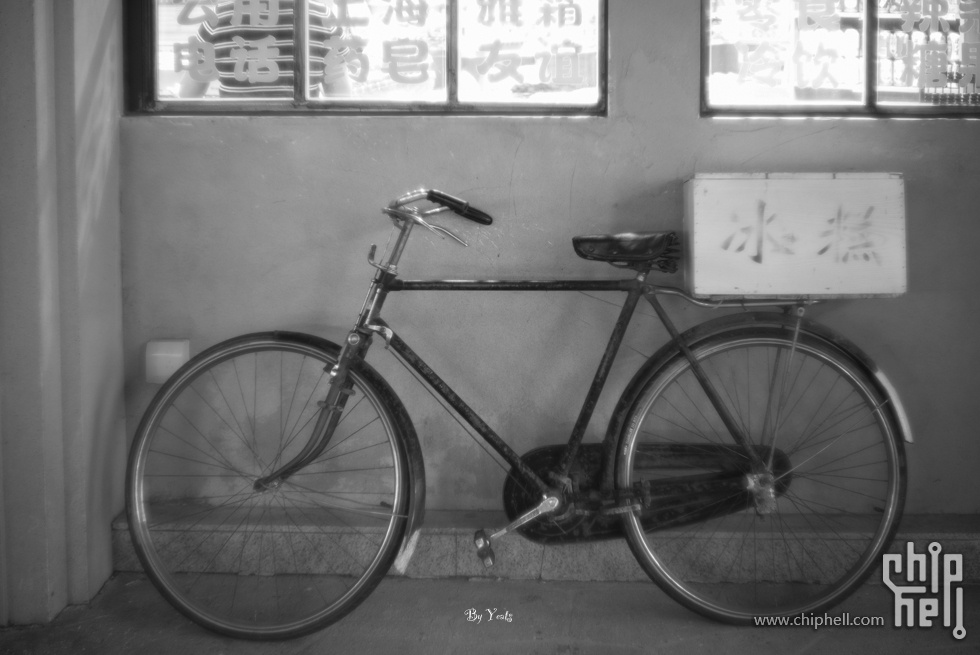 L1005999.jpg