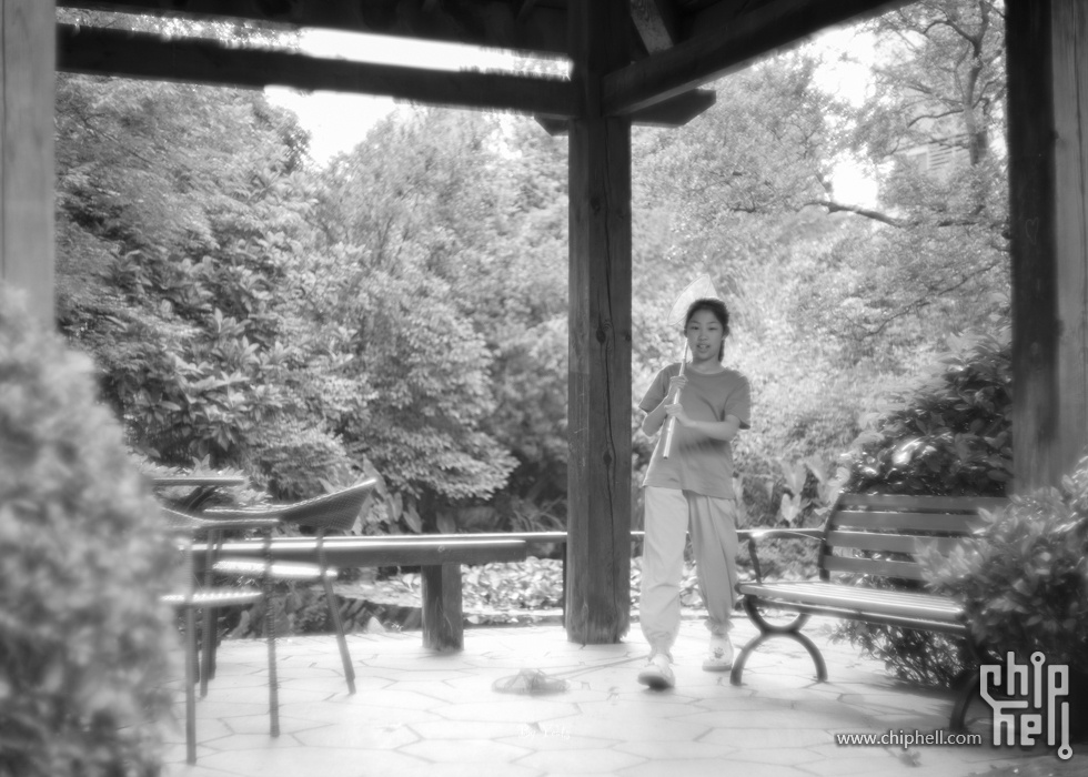 L1005890.jpg