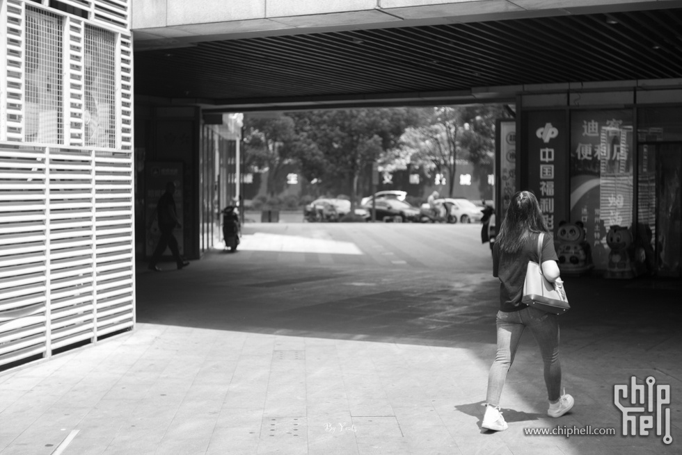 L1005855.jpg