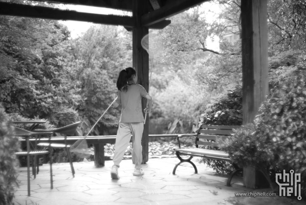 L1005884.jpg