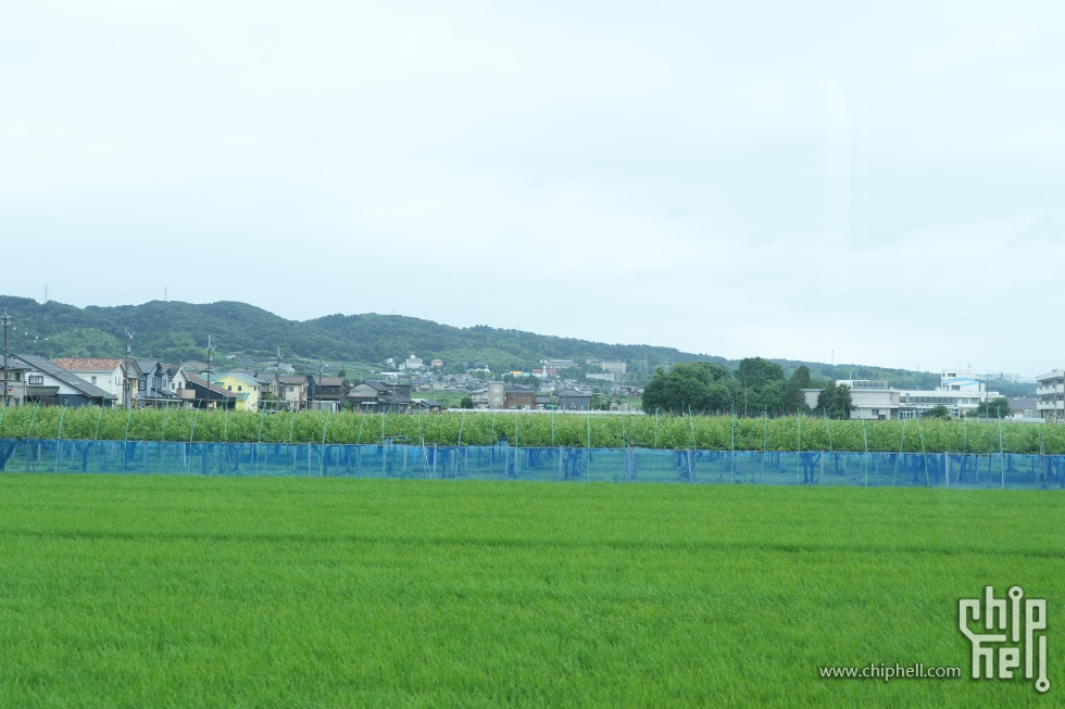 DSC00887-min.JPG