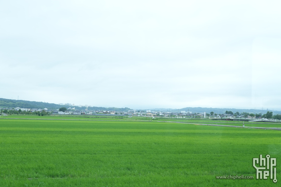 DSC00889-min.JPG