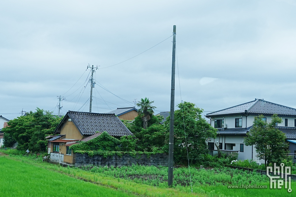 DSC00892-min-min.JPG