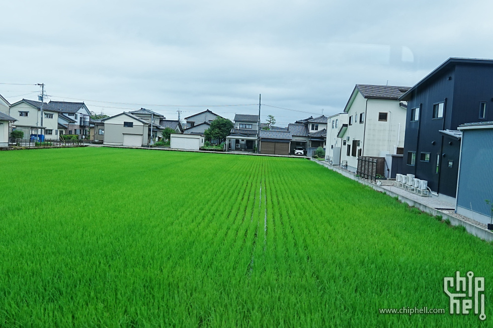 DSC00895-min-min.JPG