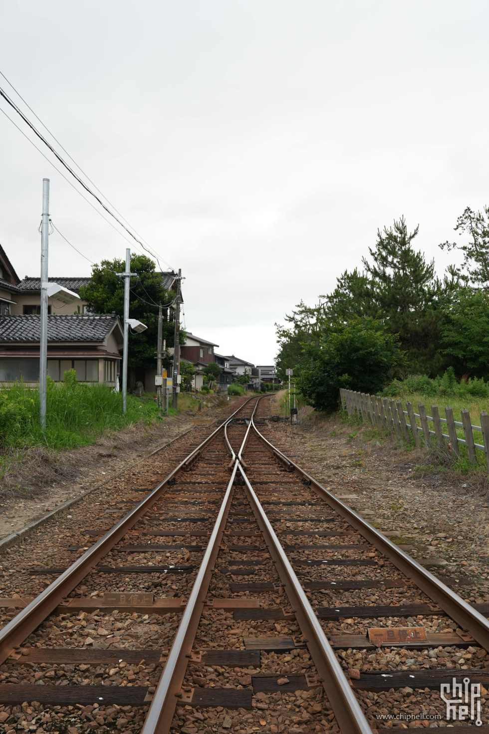 DSC00949-min-min.JPG