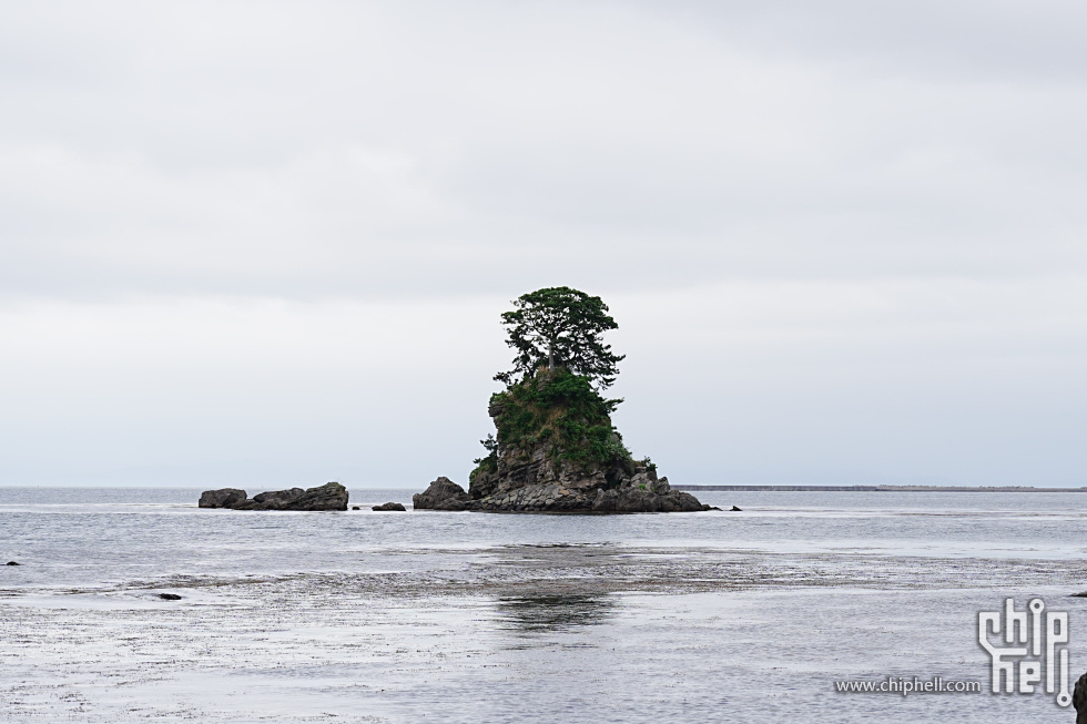 DSC00962-min.JPG
