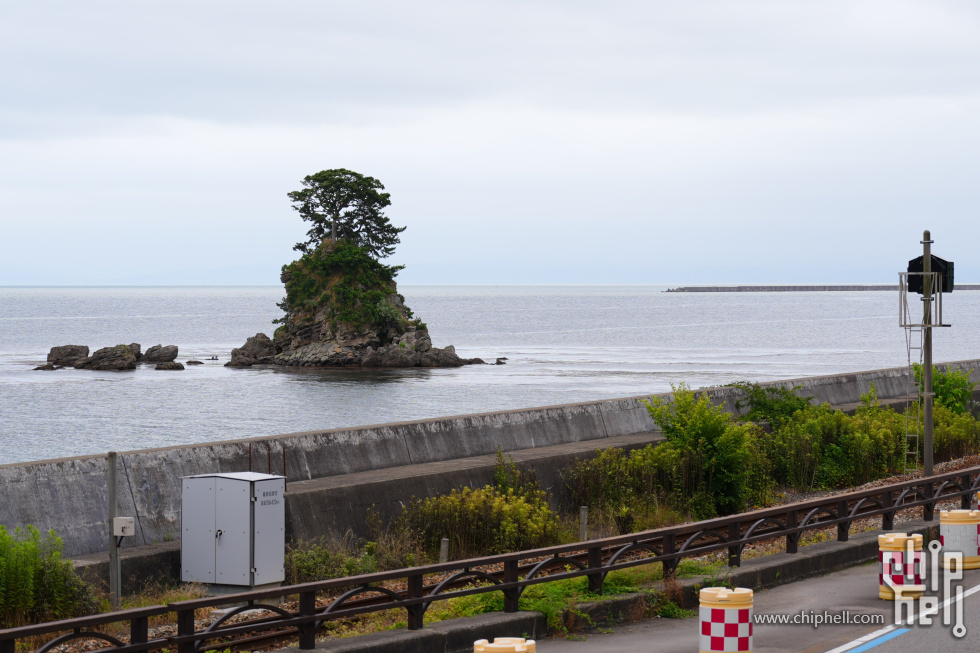 DSC01010-min.JPG