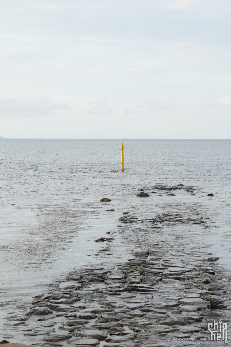 DSC01071-min-min.JPG