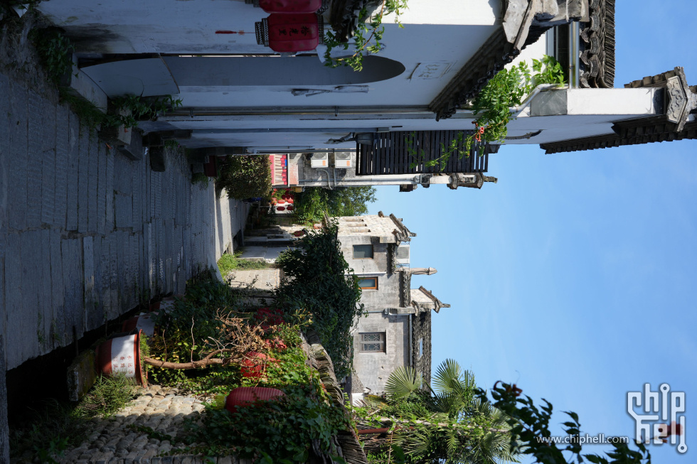 DSC01044.jpg