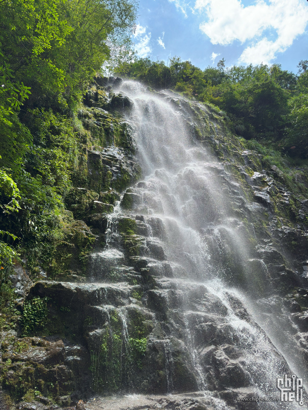 IMG_7734.jpg
