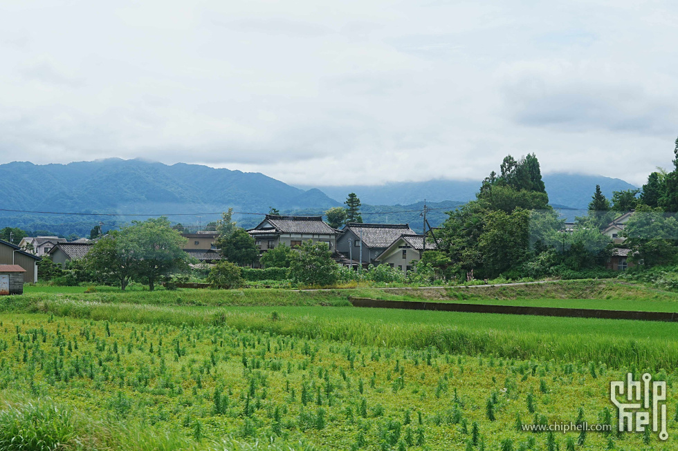 DSC01144-min.jpg
