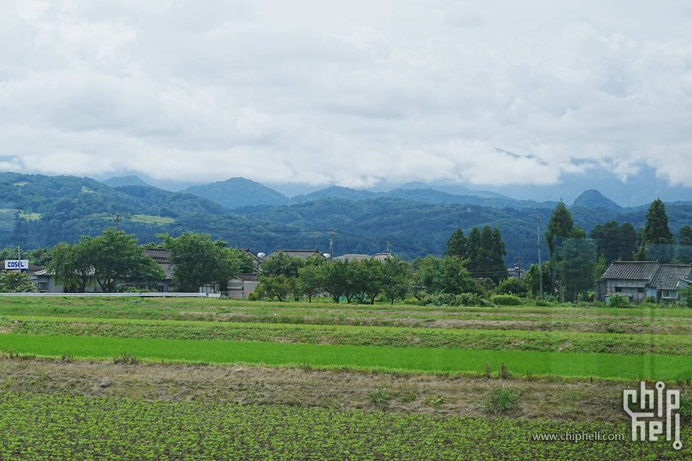 DSC01146-min.jpg