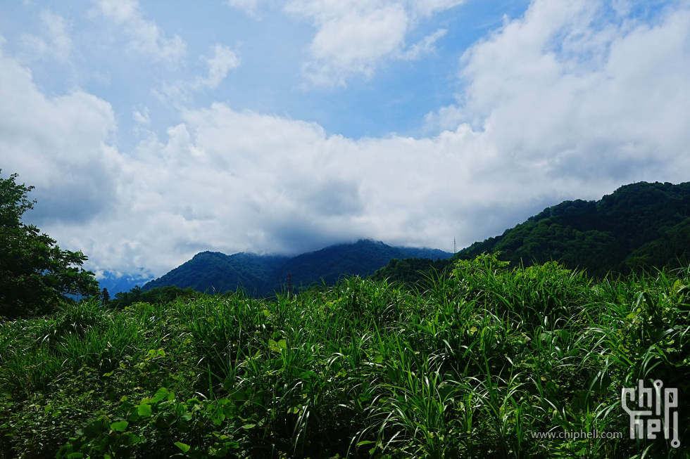 DSC01196-min.jpg