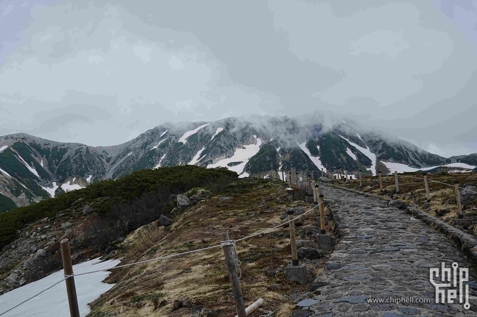 DSC01484-min.jpg