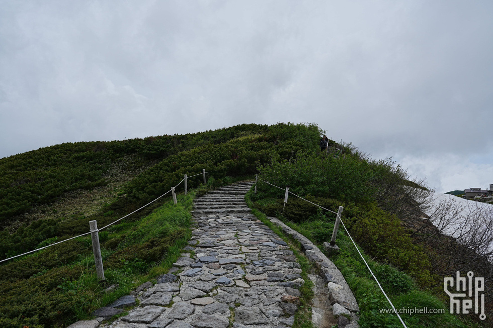 DSC01502-min.jpg