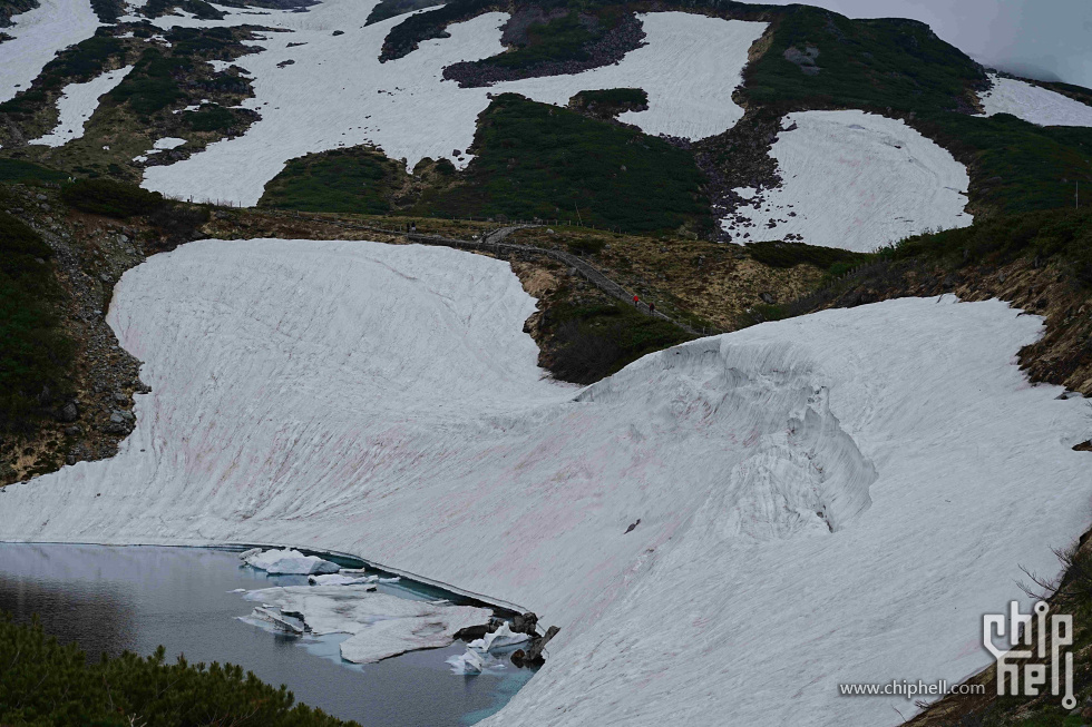 DSC01531-min.jpg