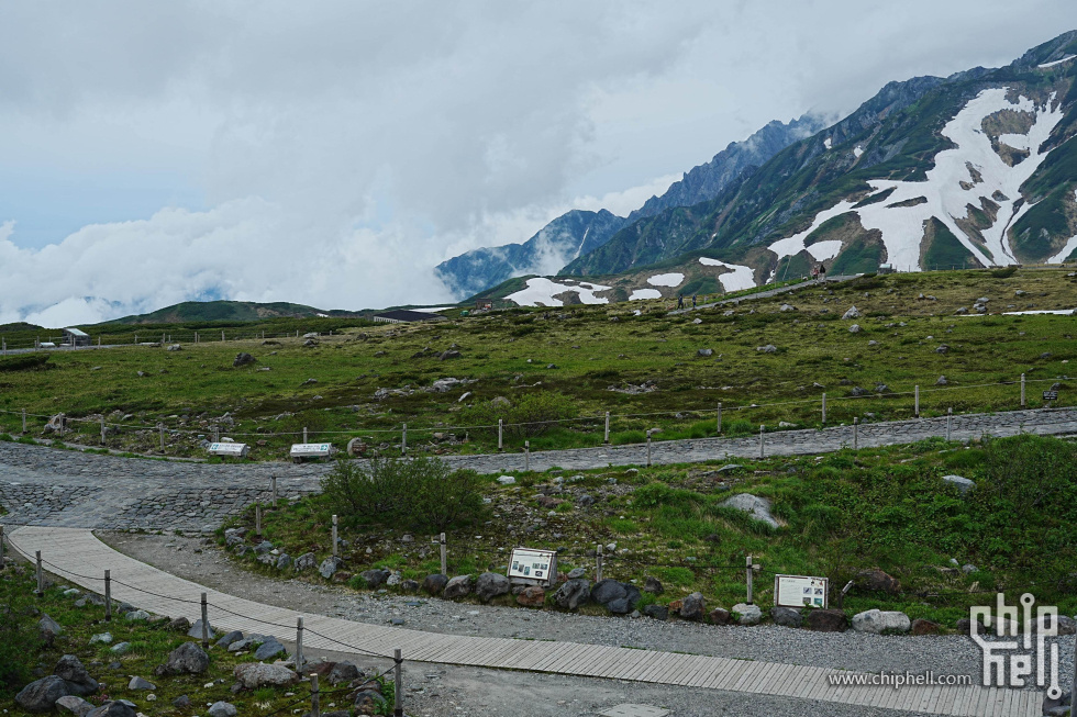 DSC01654-min.jpg