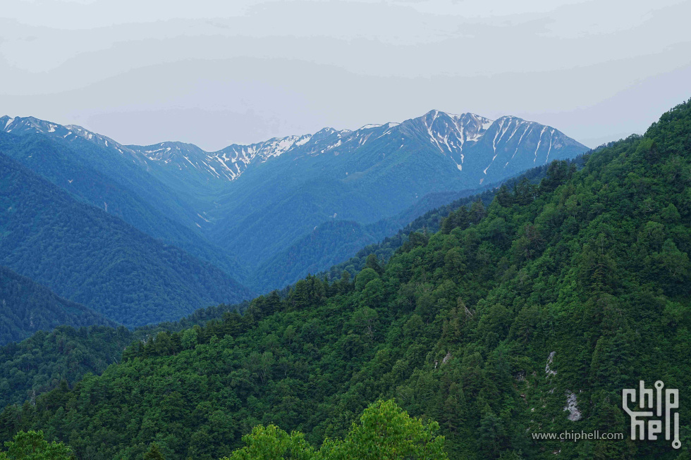 DSC01676-min.jpg