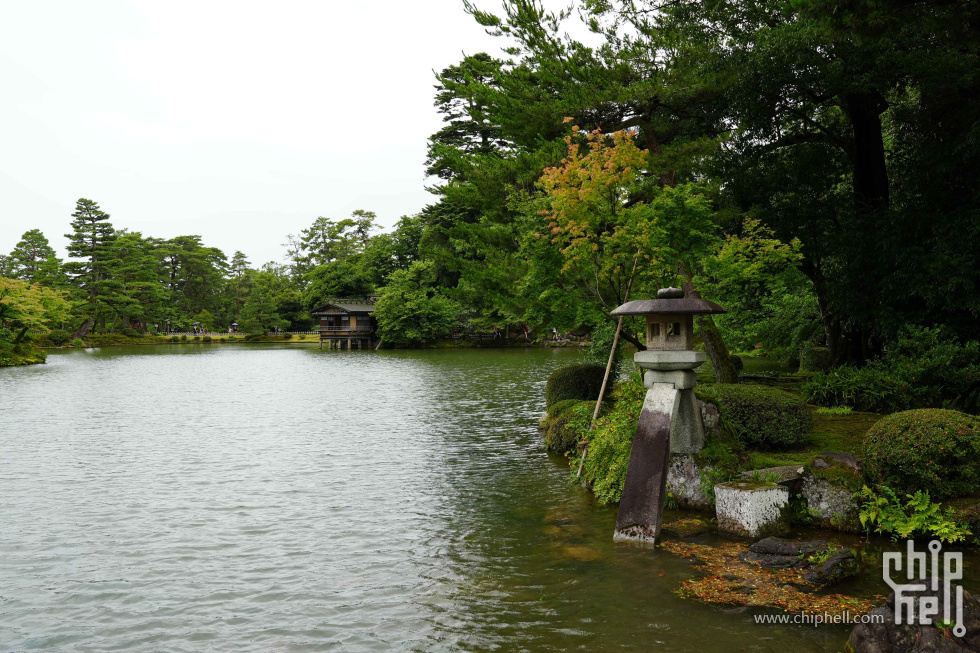 DSC00518.jpg