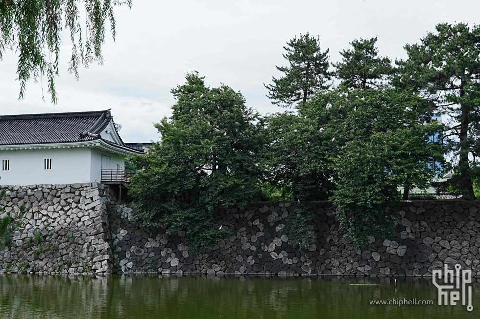 DSC01911-min.jpg