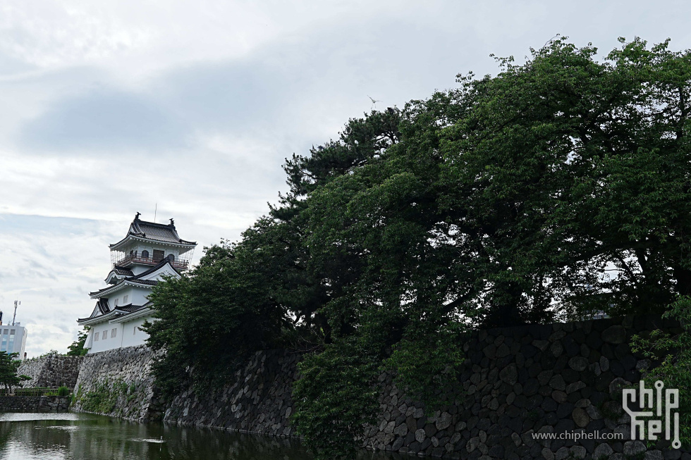 DSC01953-min.jpg