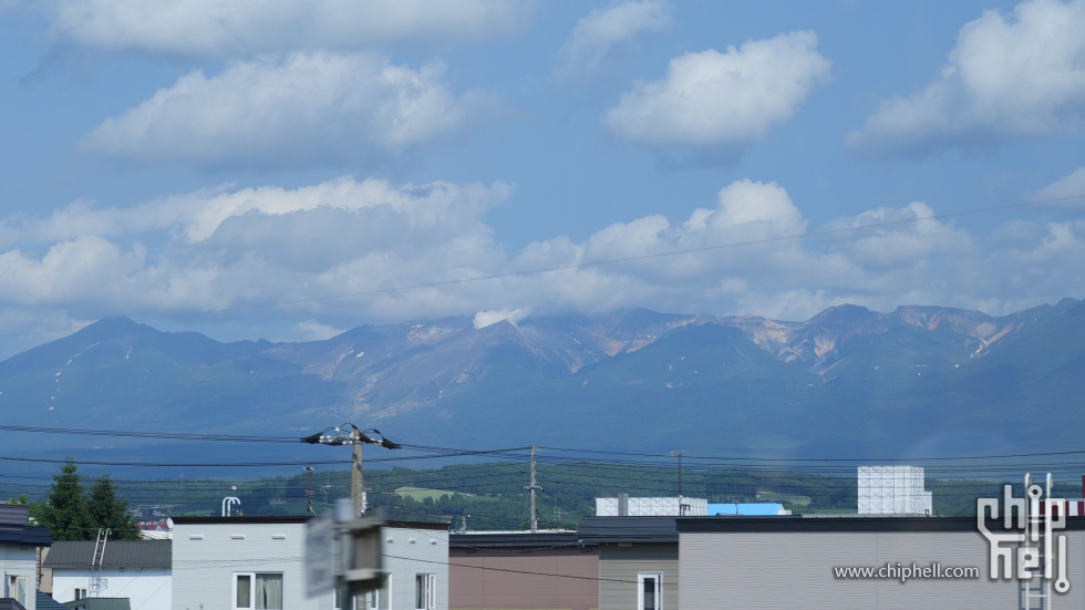 DSC02941.jpg