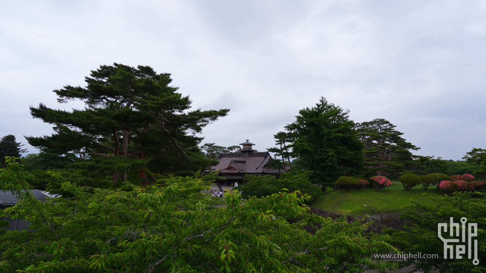 DSC03523.jpg