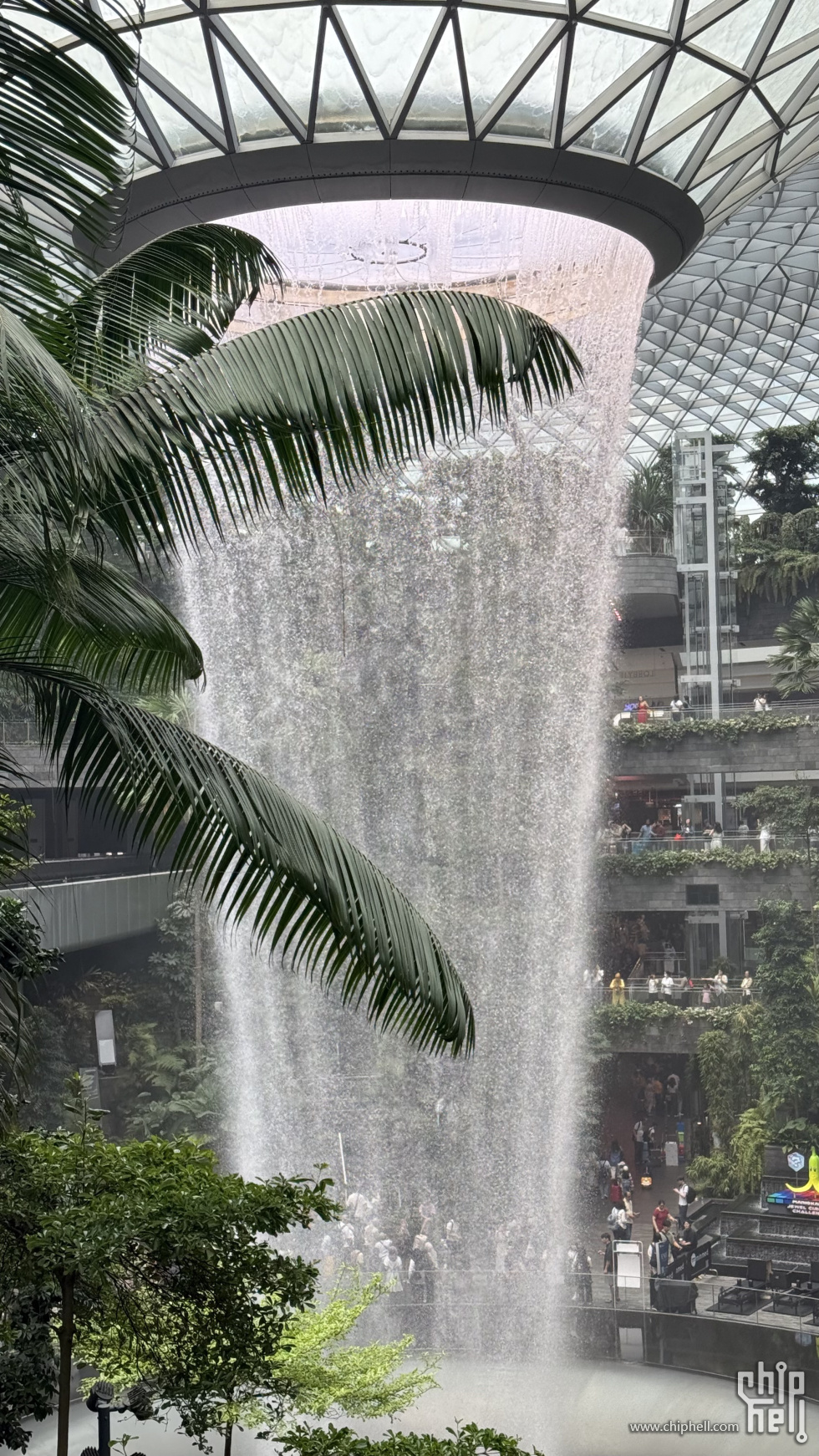 周围全是打卡的人