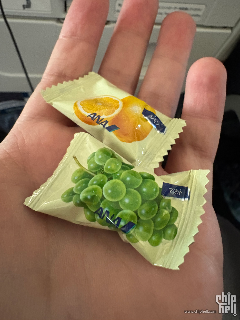 IMG_4445.png