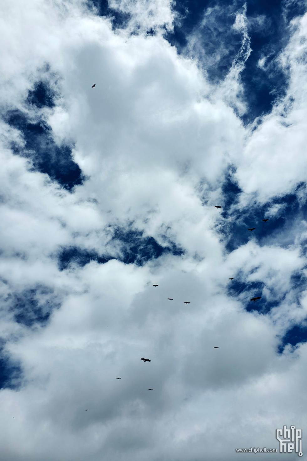 20250601_141614.jpg