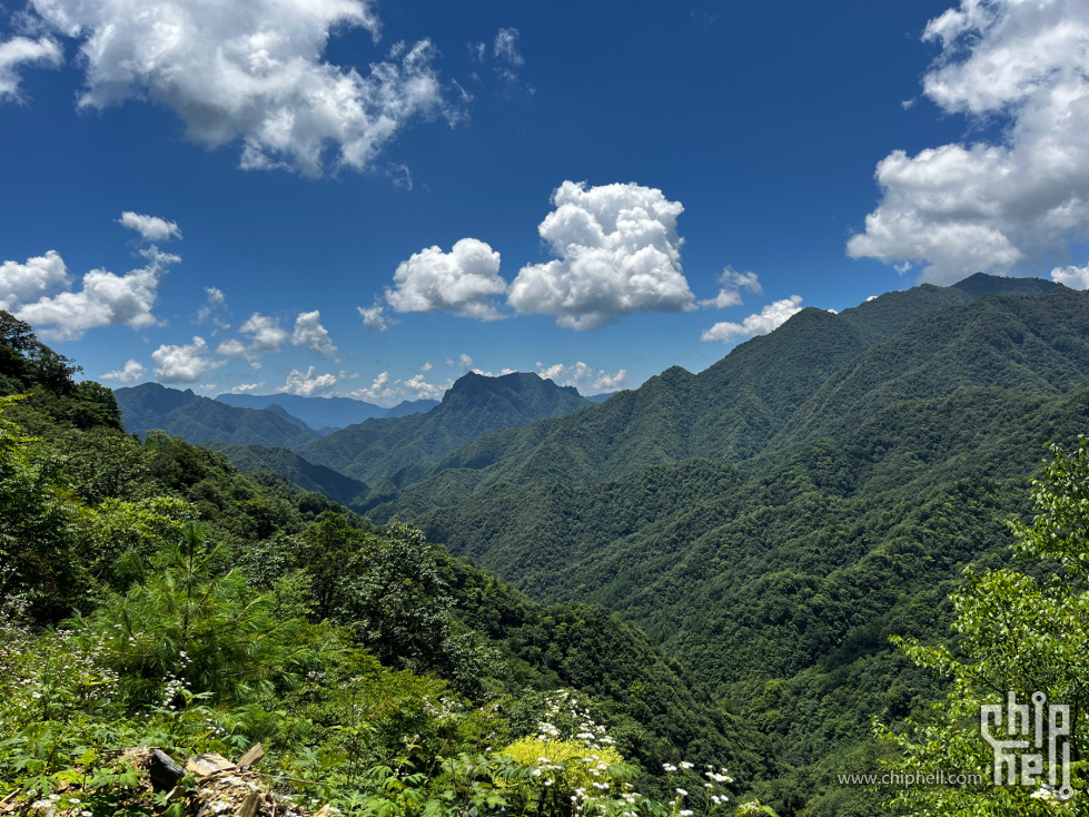 IMG_0041_副本.jpg