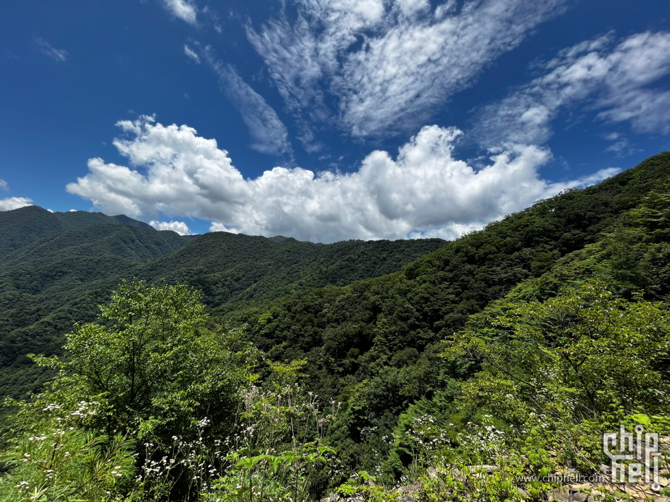 IMG_0042_副本.jpg
