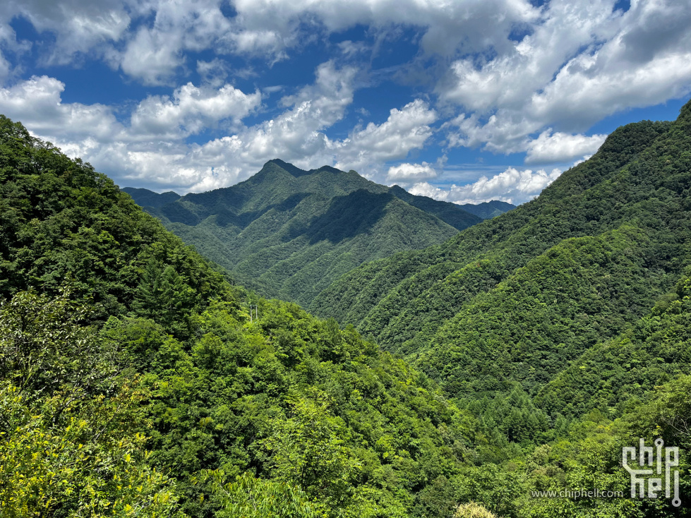 IMG_0047_副本.jpg