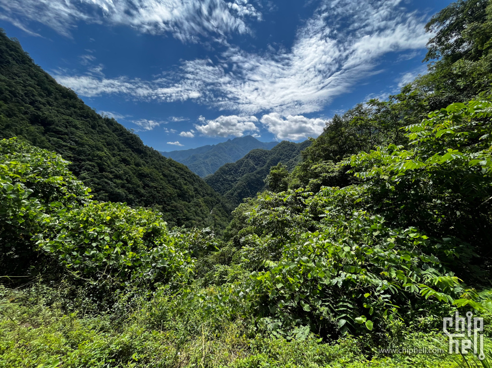 IMG_0052_副本.jpg