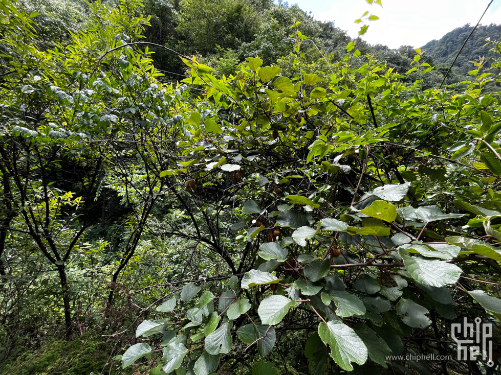 IMG_0182_副本.jpg