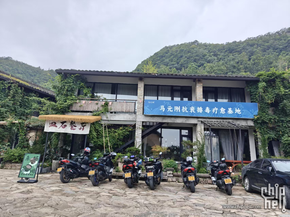 干饭杨盆.jpg