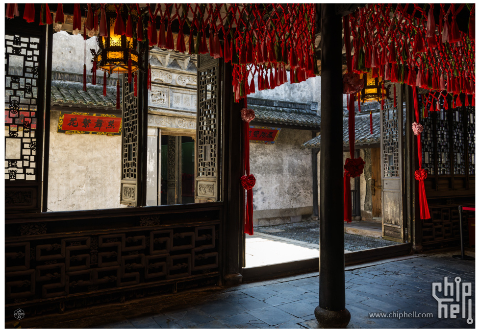 DSC_4407-已增强-降噪.JPG