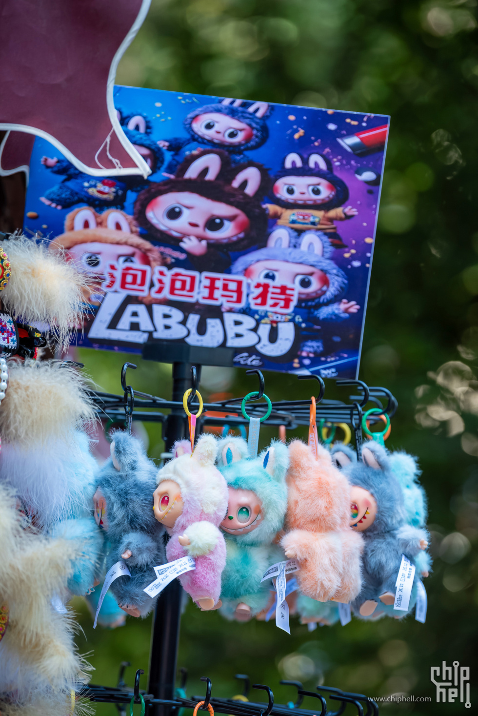 DSC_0797-已增强-降噪.jpg