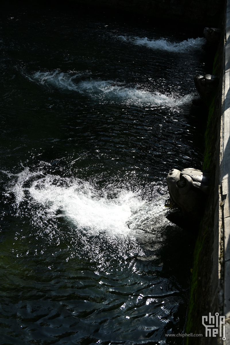 DSC_0906_副本.jpg