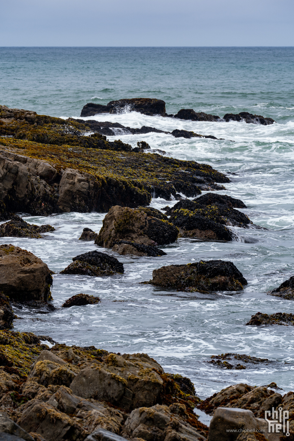 H1T07885.jpg