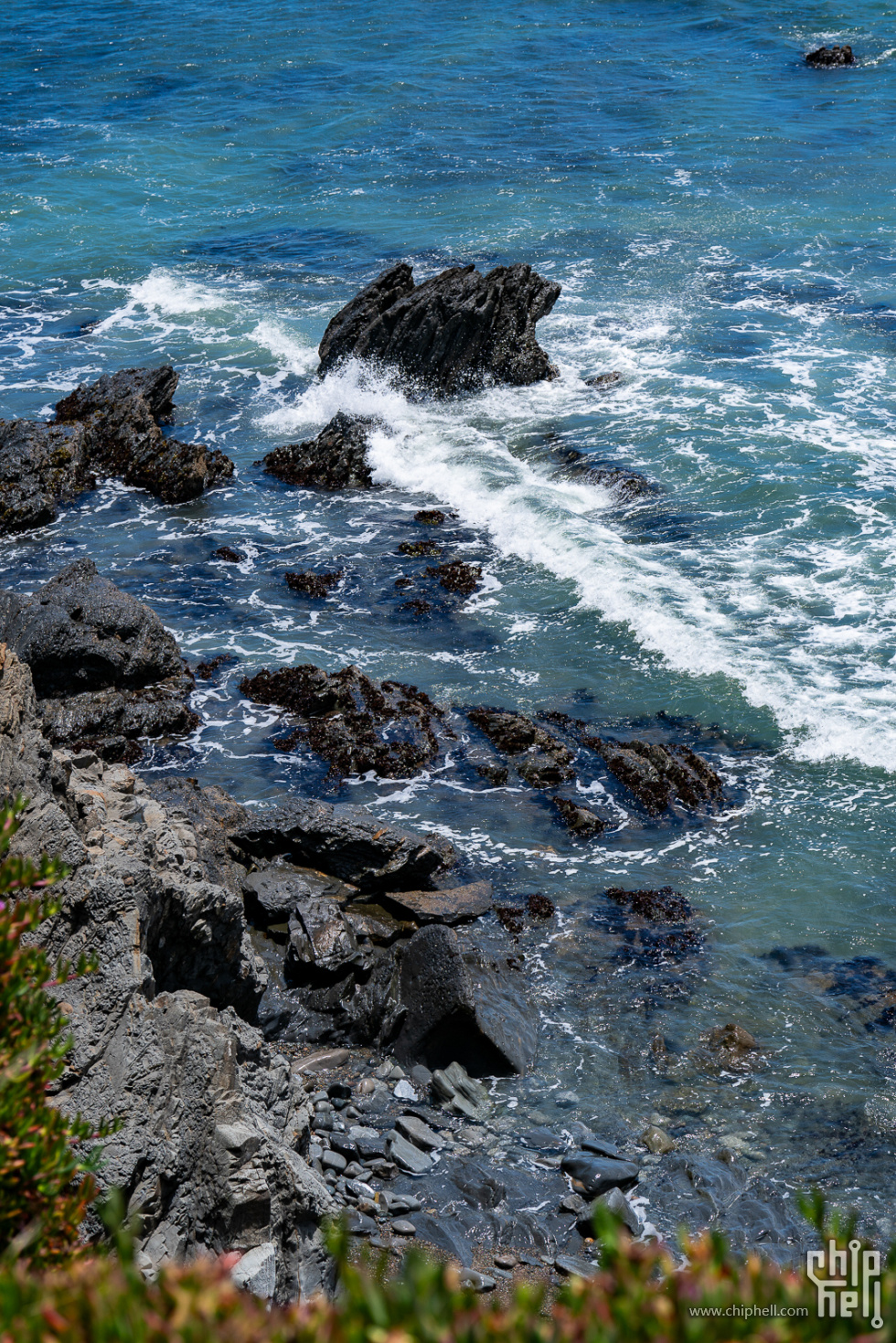 H1T07940.jpg