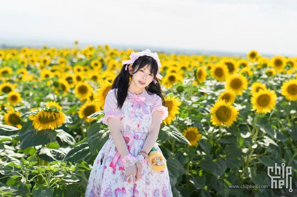 DSC_700312.jpg