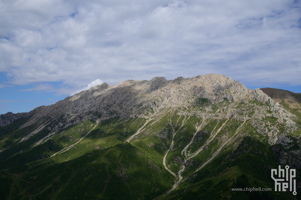 DSC_708809.jpg