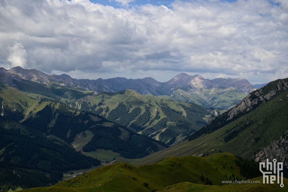 DSC_709310.jpg