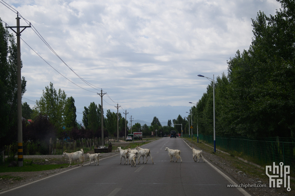 DSC_711512.jpg