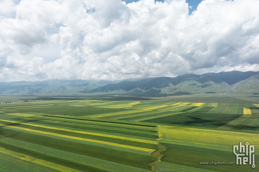 DJI_20250709155304_0168_D02.jpg