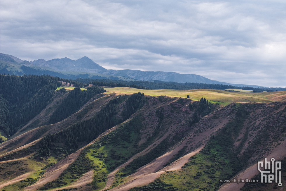 DJI_20250709200706_0189_D04.jpg