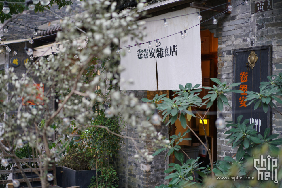 DSC08730.JPG_compressed.JPEG